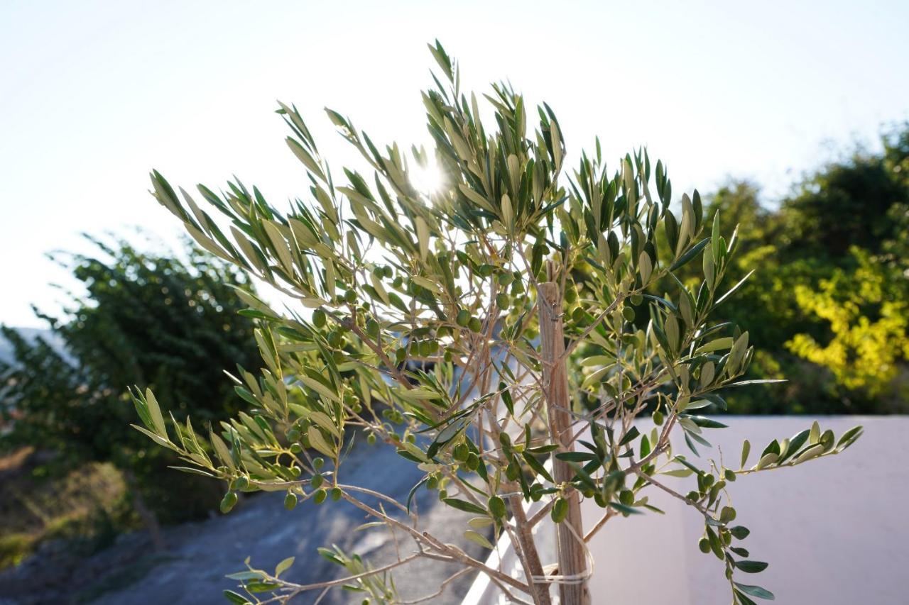 Kendrochori Villa Tzekos מראה חיצוני תמונה